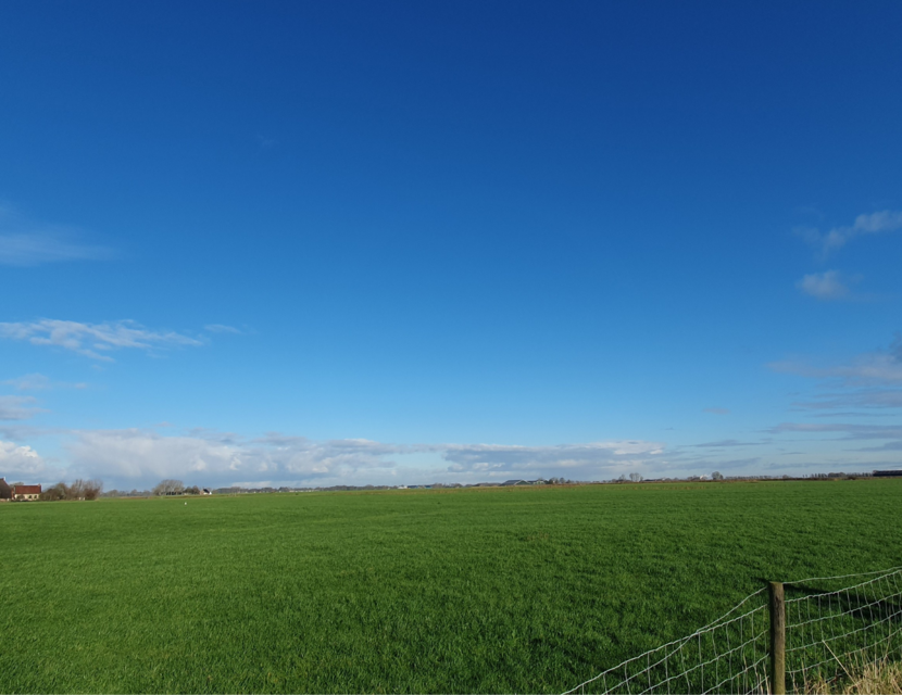 Foto van Het Hogeland waarop een grasveld met blauwe lucht te zien is